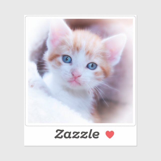Sticker Photo en forme de Carré New Kitten (Feuille)