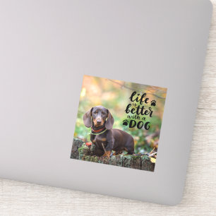 Sticker Photo pour animal de compagnie personnalisée La vi