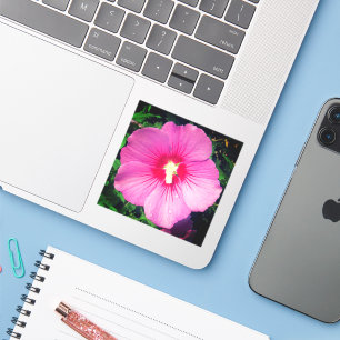 Sticker Photographie rose florale