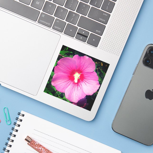 Sticker Photographie rose florale (Ordinateur portable avec iPhone)