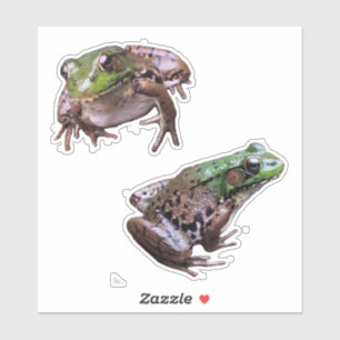 Sticker Photos de grenouilles vertes