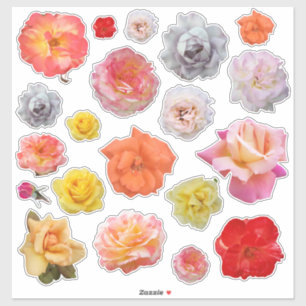 Sticker Photos Roses de couleur rose jaune orange coupé