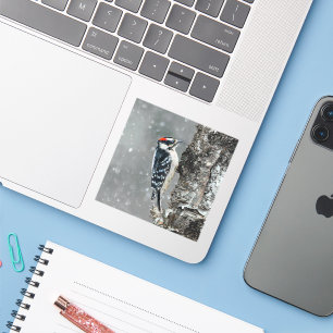 Sticker Pic Downy en neige - Photo originale