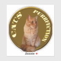 Pièces De Chat D'Or Avec Chat De Gingembre,
