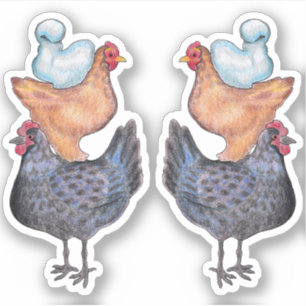 Sticker Pile de poulets