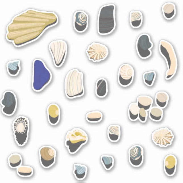 Sticker Plage de coquillages et galets (Devant)