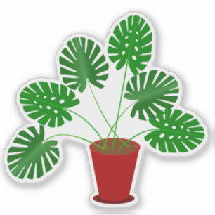 Sticker Plante Monstera pour la Fête des Mères