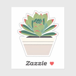 Sticker Plante Succulent