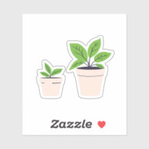 Plantes en pot