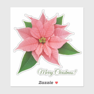 Sticker Poinsettia rose