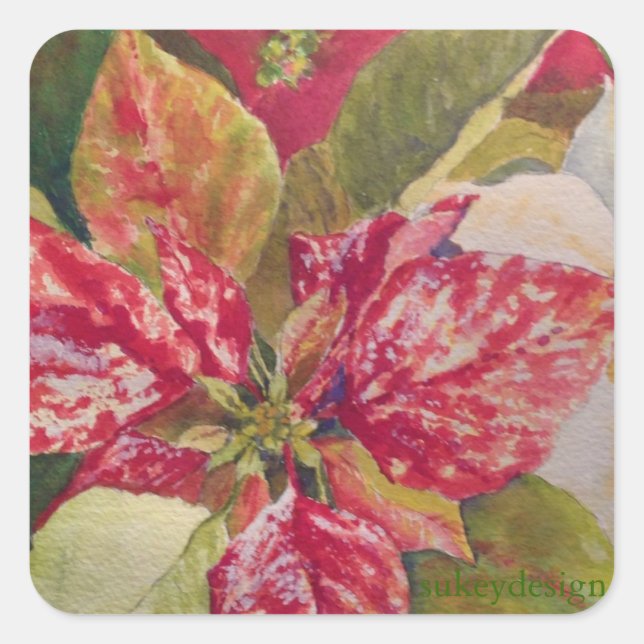Sticker Poinsettia Varié (Devant)