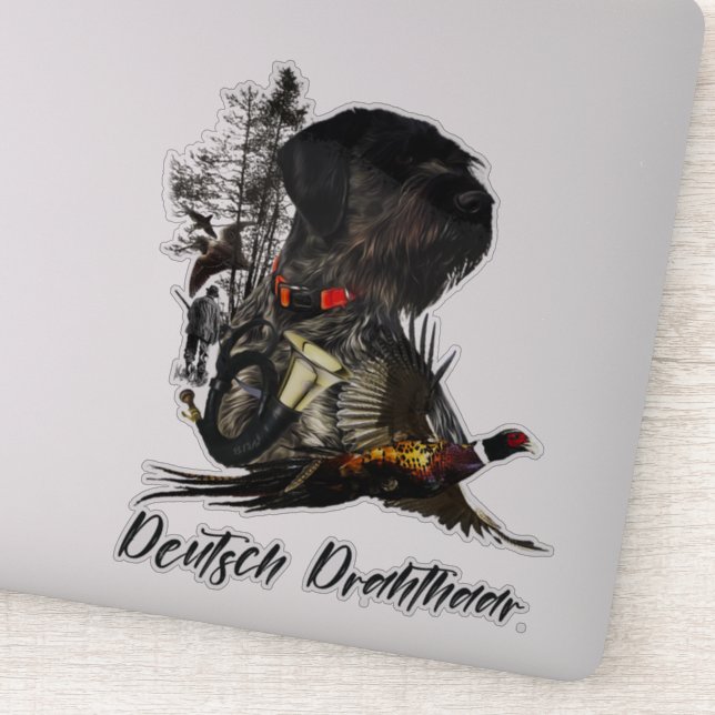 Sticker Pointeur À poils durs allemand (Détail)