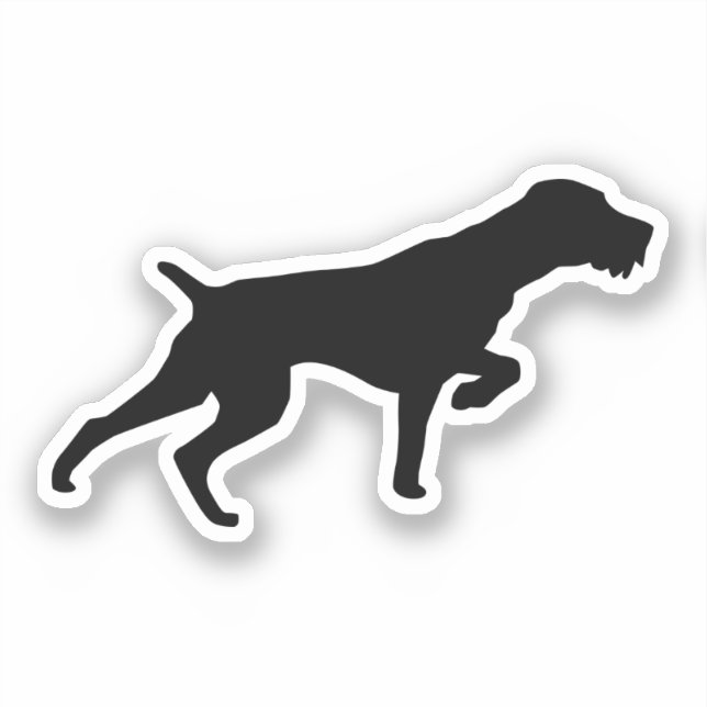 Sticker Pointeur À poils durs allemand (Recto)