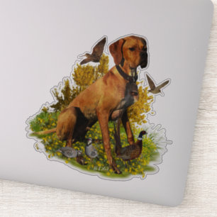 Sticker Pointeur anglais, chasse aux oiseaux
