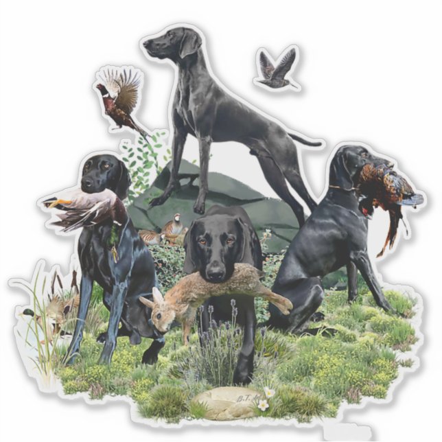 Sticker Pointeurs noirs allemands (Devant)