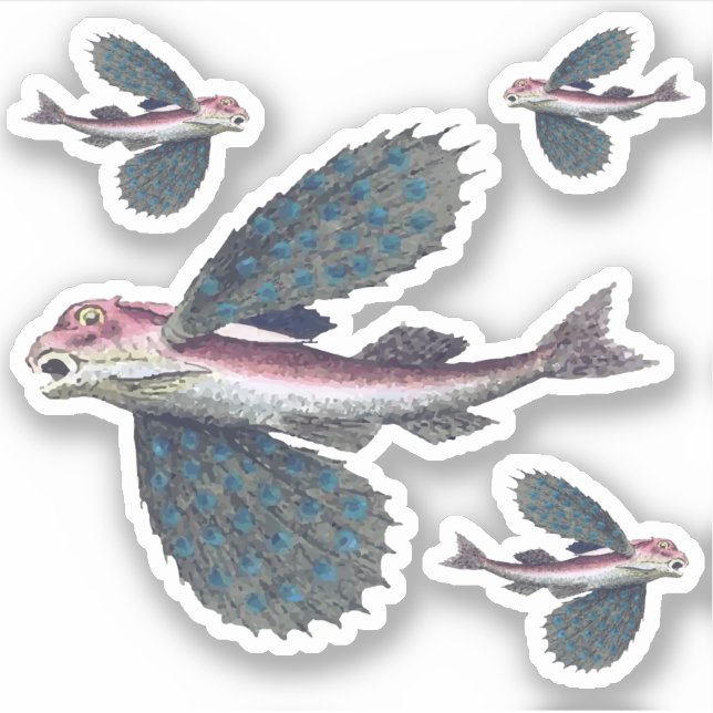Sticker poisson volant (Devant)