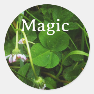 Sticker Porte-bonheur Magic