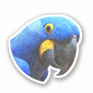 Sticker Portrait de perroquet bleu