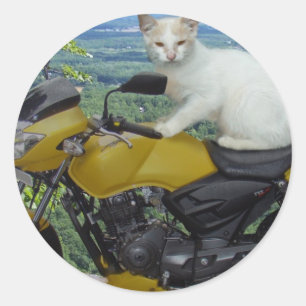 Sticker pour chat