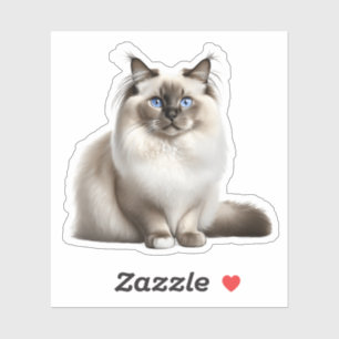 Sticker pour chat Ragdoll