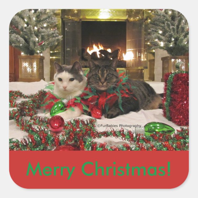 sticker pour chats de Noël (Devant)