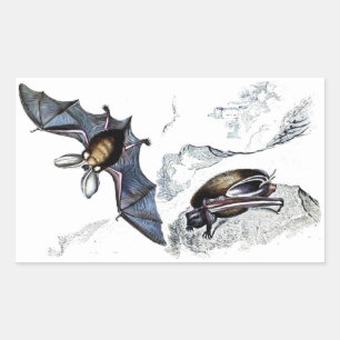 Sticker pour chauves-souris