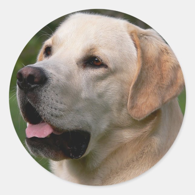 Sticker pour chien de marionnette pour trieur du L (Devant)