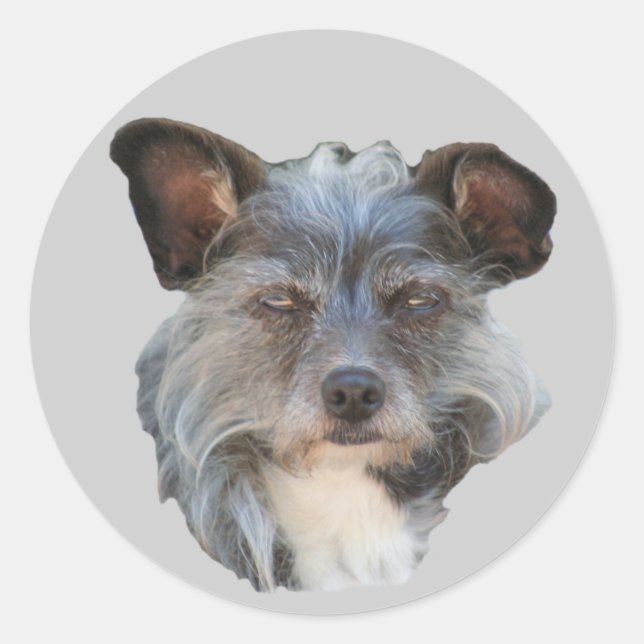Sticker pour chien de mouton Mutt de race mixte Te (Devant)