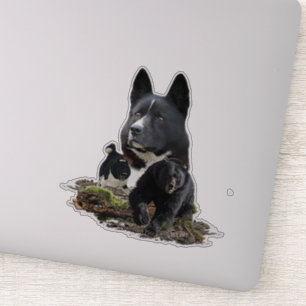 Sticker pour chien d'ours Karelian
