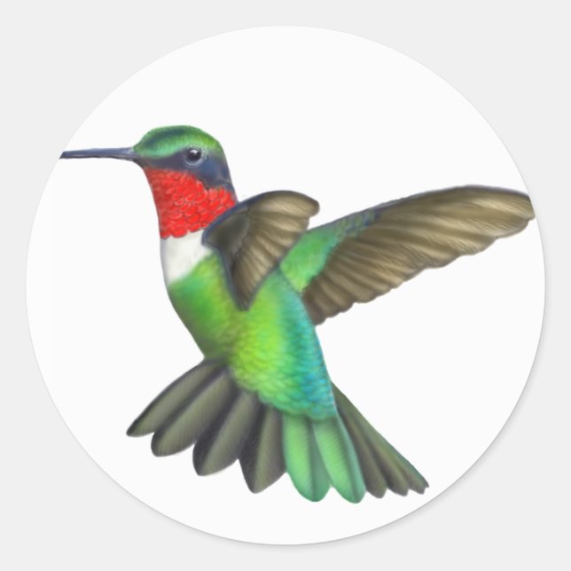 Sticker pour colibri volant en rubis fileté (Devant)