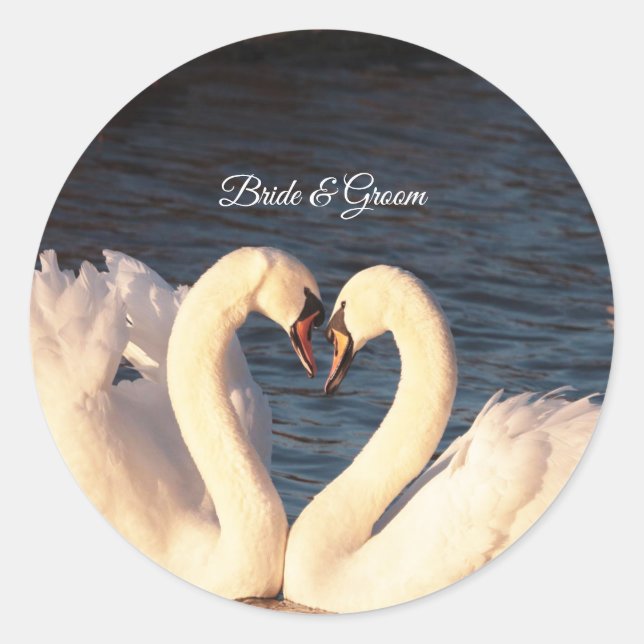 Sticker pour cygnes blancs (Devant)