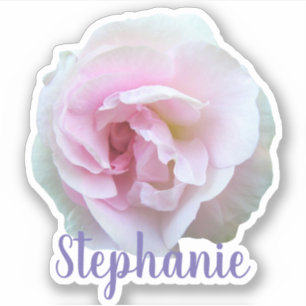 Sticker pour nom Rose rose pâle