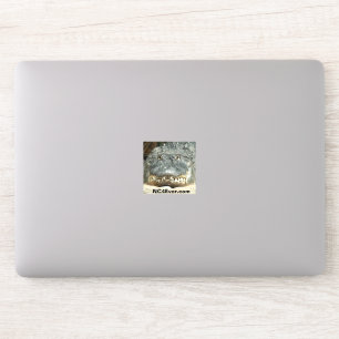 Sticker pour ordinateur portable Alligator à parti
