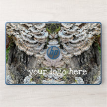 "Champignons de queue de Turquie"