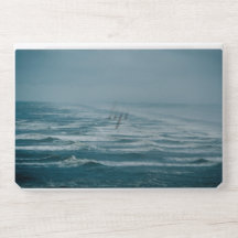 Vagues de mer d'hiver