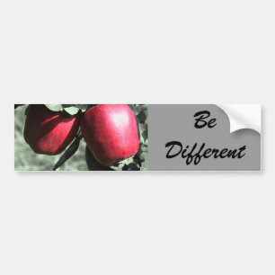 Sticker pour pare-chocs Motivationnel Différents P