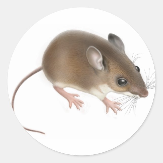 Sticker pour souris de cerf (Devant)