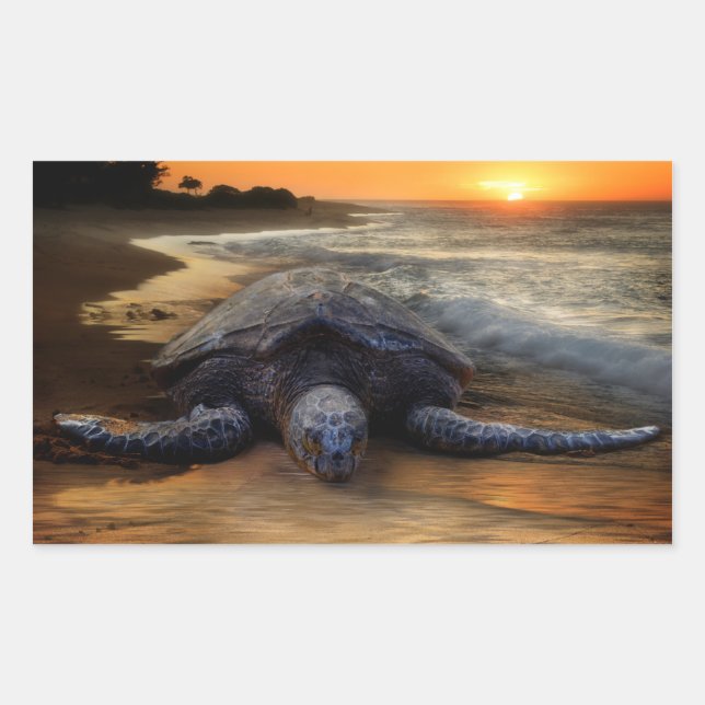 Sticker pour tortue de mer coucher du soleil (Devant)
