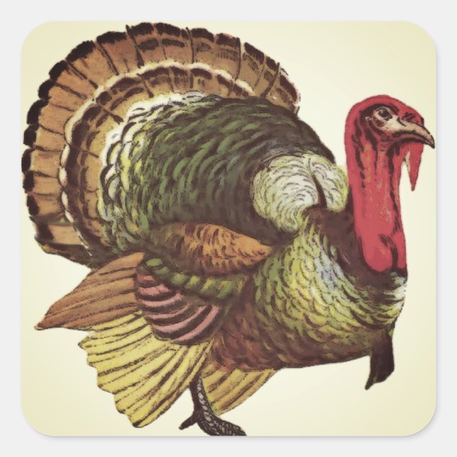 Sticker pour Turquie sauvage (Devant)