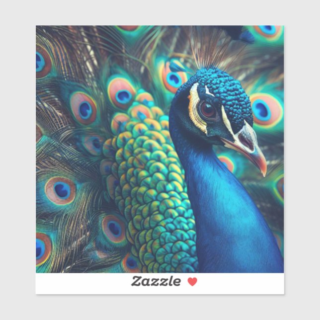 Sticker Profil Peacock (Feuille)