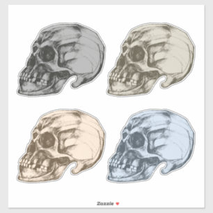 Sticker Quatre crânes vinyle