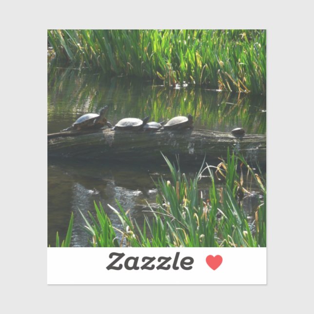 Sticker Rangée de tortues Green Nature Photo (Feuille)