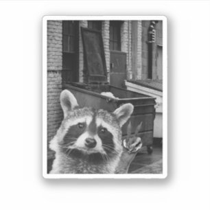 Sticker Raton laveur drôle selfie Raton laveur drôle Raton