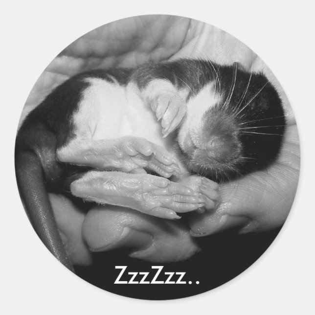 Sticker Rattie couchage (Devant)