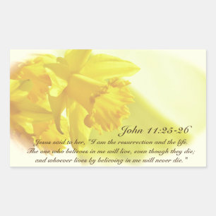 Sticker Rectangulaire 11h25 de John - 26, jaillissent les jonquilles