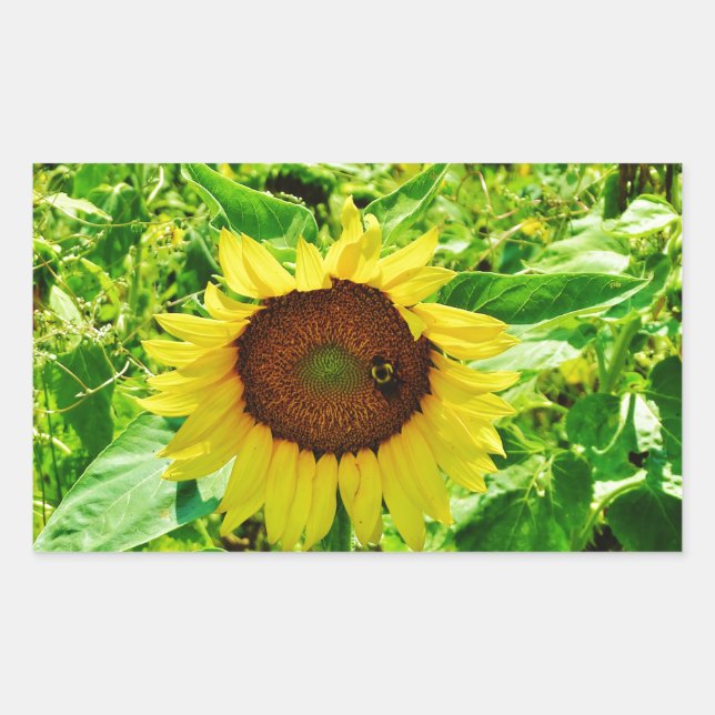 Sticker Rectangulaire Abeille sur tournesol jaune (Devant)