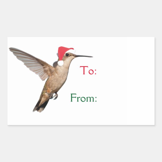Sticker Rectangulaire Aide aux colibris (Devant)