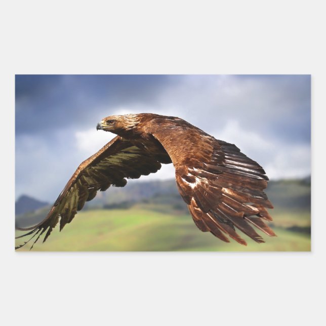 Sticker Rectangulaire Aigle (Devant)