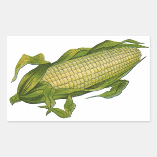 Sticker Rectangulaire Aliments Anciens, Légumes Sains, Épi de Maïs
