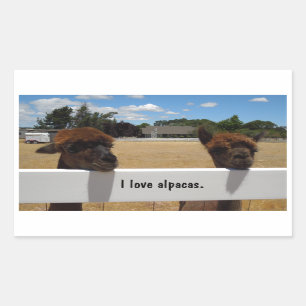 Sticker Rectangulaire Alpaga dans Templeton, la Californie